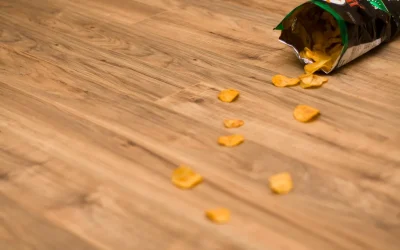Does the 5-seconds rule really work?