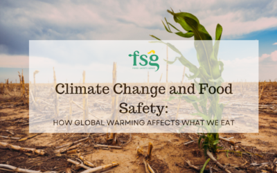 Climate Change and Food Safety: How Global Warming Affects What We Eat
